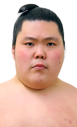 Portrait of the sumo wrestler