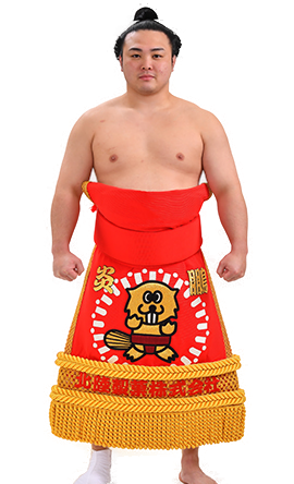 Portrait of the sumo wrestler