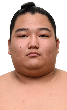 Portrait of the sumo wrestler