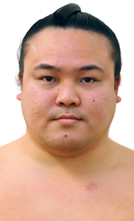 Portrait of the sumo wrestler