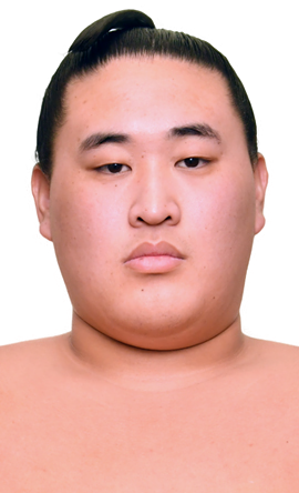 Portrait of the sumo wrestler