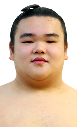 Portrait of the sumo wrestler