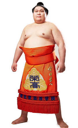 Portrait of the sumo wrestler