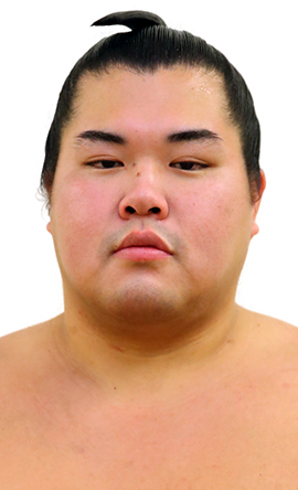 Portrait of the sumo wrestler