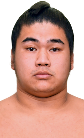 Portrait of the sumo wrestler