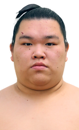 Portrait of the sumo wrestler