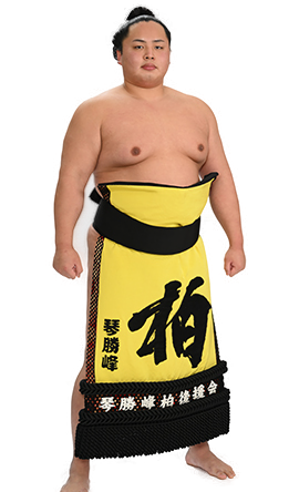 Portrait of the sumo wrestler