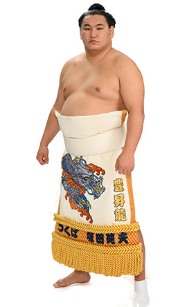 Portrait of the sumo wrestler