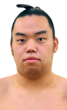 Portrait of the sumo wrestler