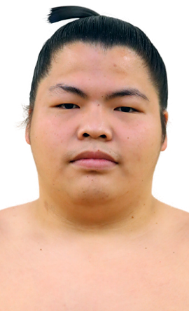 Portrait of the sumo wrestler