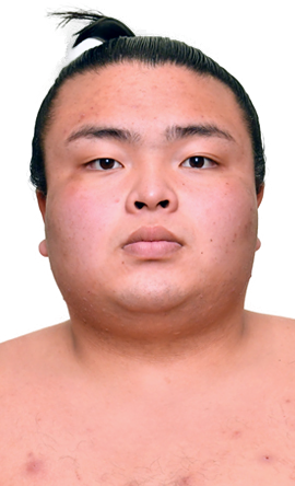 Portrait of the sumo wrestler