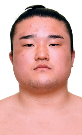 Portrait of the sumo wrestler