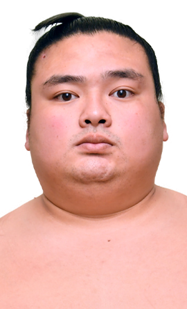 Portrait of the sumo wrestler