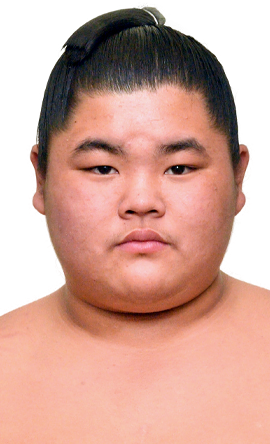 Portrait of the sumo wrestler