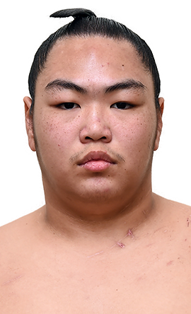 Portrait of the sumo wrestler