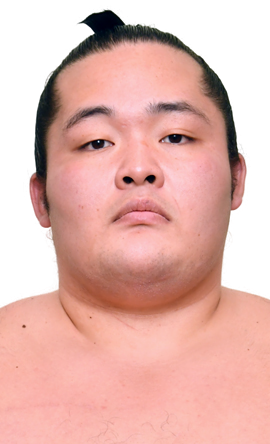 Portrait of the sumo wrestler