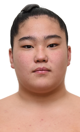 Portrait of the sumo wrestler