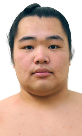 Portrait of the sumo wrestler