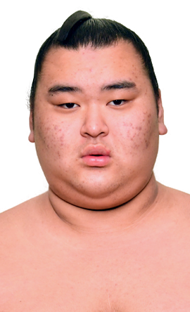 Portrait of the sumo wrestler