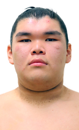 Portrait of the sumo wrestler