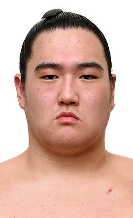 Portrait of the sumo wrestler