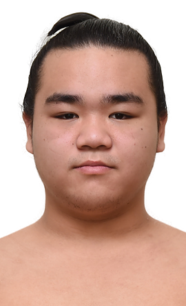 Portrait of the sumo wrestler