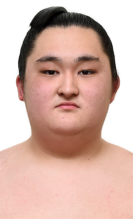 Portrait of the sumo wrestler