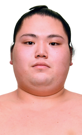 Portrait of the sumo wrestler