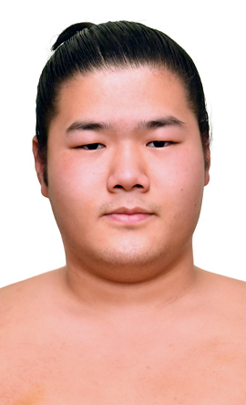 Portrait of the sumo wrestler