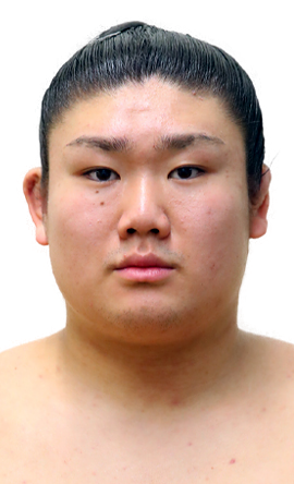 Portrait of the sumo wrestler