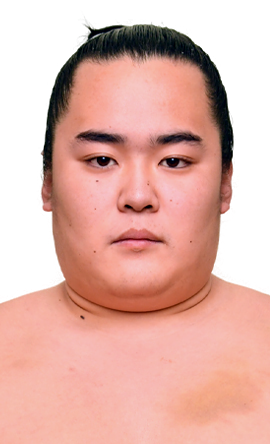 Portrait of the sumo wrestler