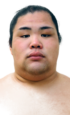 Portrait of the sumo wrestler