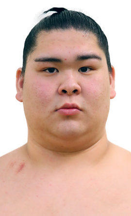 Portrait of the sumo wrestler