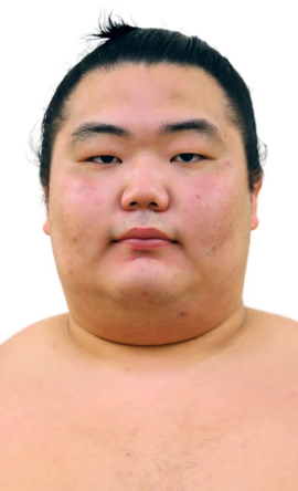 Portrait of the sumo wrestler