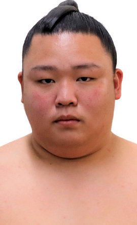 Portrait of the sumo wrestler