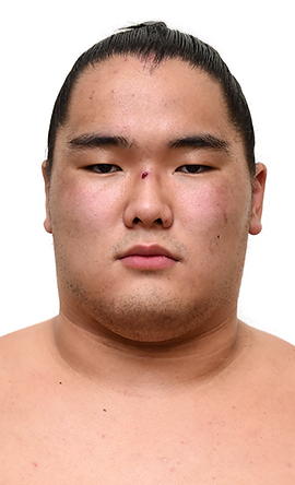 Portrait of the sumo wrestler