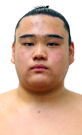 Portrait of the sumo wrestler