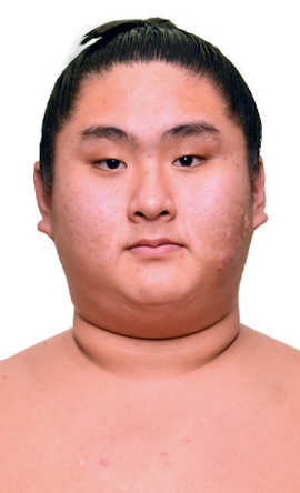 Portrait of the sumo wrestler