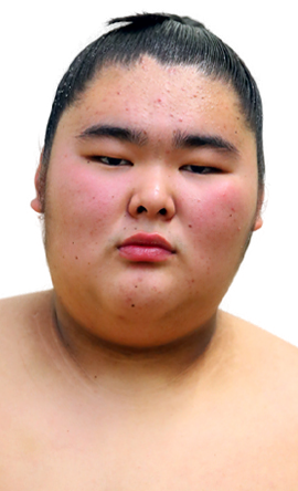 Portrait of the sumo wrestler