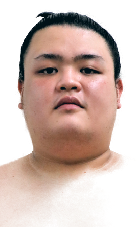 Portrait of the sumo wrestler