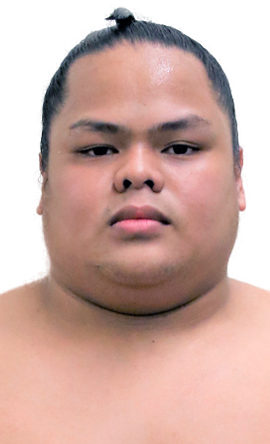 Portrait of the sumo wrestler