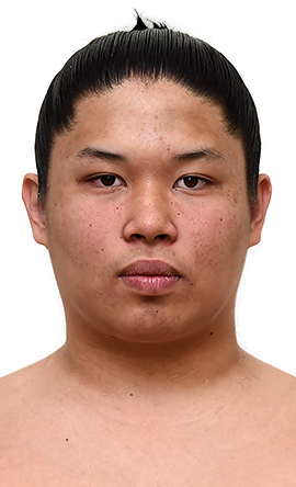 Portrait of the sumo wrestler