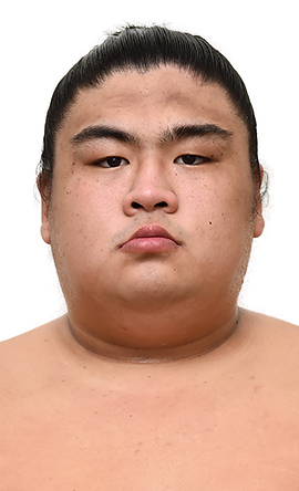 Portrait of the sumo wrestler