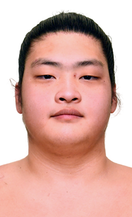 Portrait of the sumo wrestler