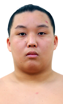 Portrait of the sumo wrestler