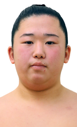 Portrait of the sumo wrestler