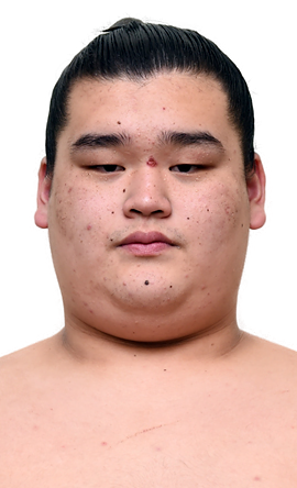 Portrait of the sumo wrestler