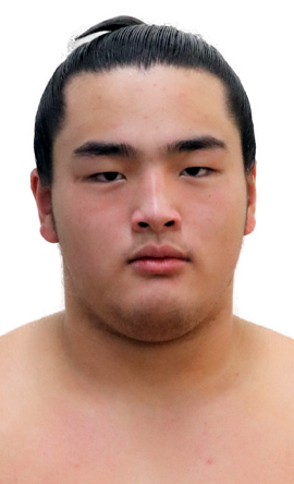 Portrait of the sumo wrestler