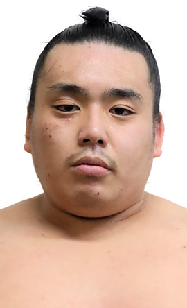 Portrait of the sumo wrestler