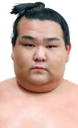 Portrait of the sumo wrestler